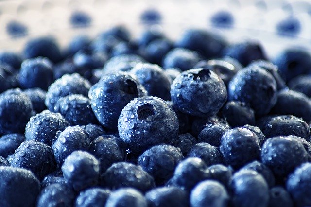 blueberry-image