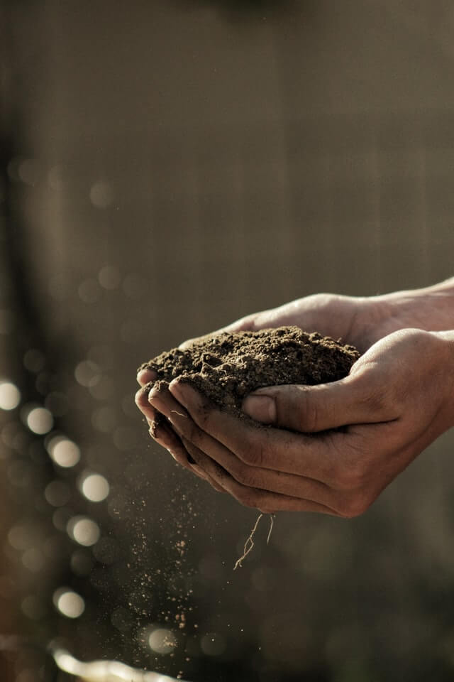 soil-testing-in-your-climate-victory-garden